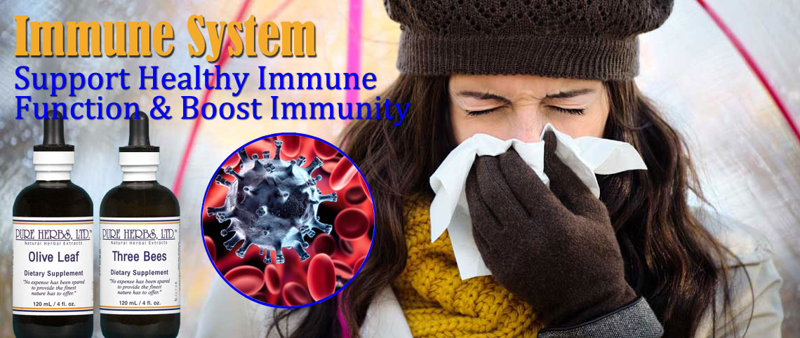 Immune System